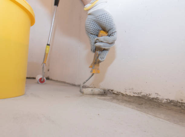 Best Fumigation Services  in Tappan, NY